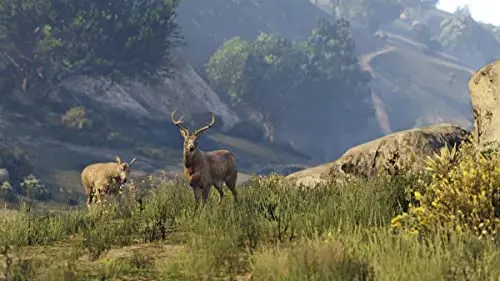 Grand Theft Auto V PS4 - vue 7