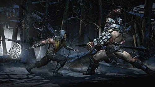 Mortal Kombat XL PS4 - vue 5