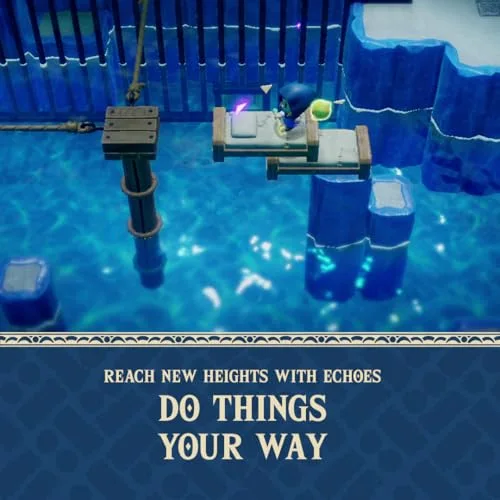 Jeu vidéo - Nintendo - The Legend of Zelda: Echoes of Wisdom - Aventure - Standard - Non VR - vue 6