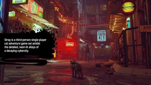 Jeu Vidéo - Stray - Nintendo Switch - Aventure - Import - Jouable en Français - vue 2