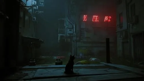 Jeu Vidéo - Stray - Nintendo Switch - Aventure - Import - Jouable en Français - vue 9