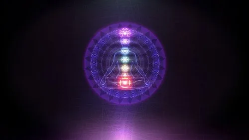 Deepak Chopra's Leela Standard Wii - vue 9