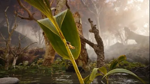 Les Fourmis Xbox - vue 6