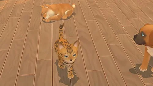 My Universe : My Baby - Chiens & Chats Switch - vue 4