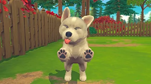 My Universe : My Baby - Chiens & Chats Switch - vue 5