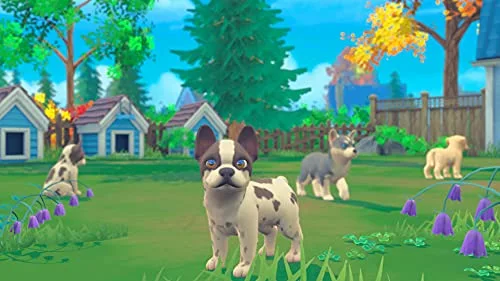 My Universe : My Baby - Chiens & Chats Switch - vue 6