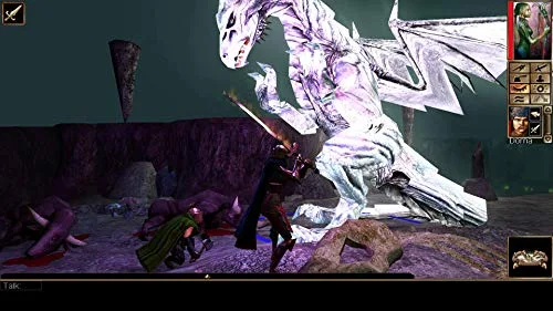 Newerwinter Nights Ehanced Edition Jeu Switch - vue 3