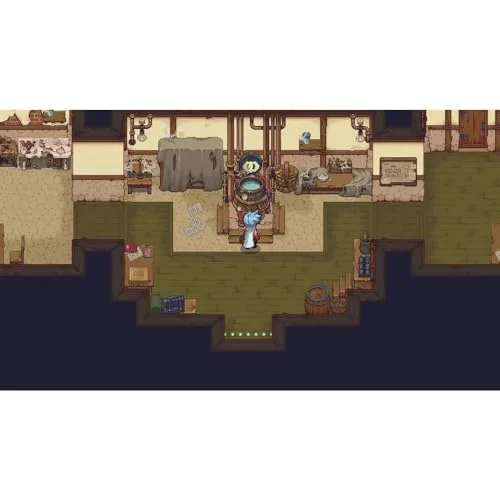 Potion Permit PS5 - vue 2