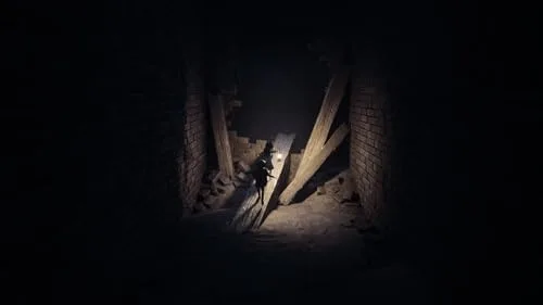 Reanimal Switch 2 - vue 3