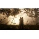 Red Dead Redemption 2 PS4 - vue 4
