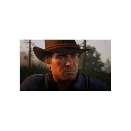 Red Dead Redemption 2 Xbox - vue 4