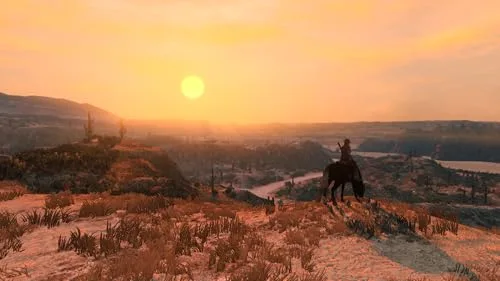 Red Dead Redemption Switch 2 - vue 5