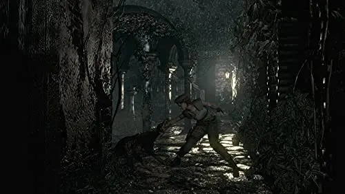Resident Evil Origins Collection PC - vue 7