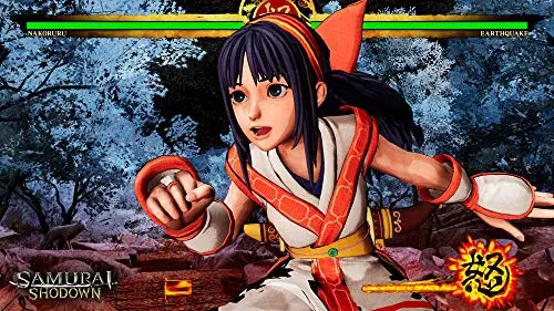 Samurai Shodown Standard PS4 - vue 6