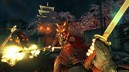 Shadow Warrior Jeu PS4 - vue 2