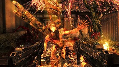 Shadow Warrior Jeu PS4 - vue 5