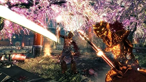 Shadow Warrior Jeu PS4 - vue 6