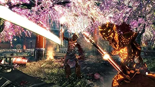 Shadow Warrior Jeu PS4 - vue 9