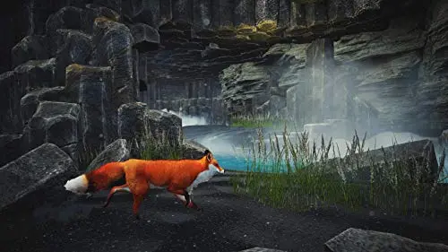 Spirit of the North PS5 - vue 2