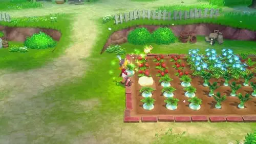 Story of Seasons : Grand Bazaar - Jeu Nintendo Switch - Edition limitée - vue 8