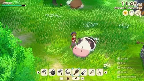 Story of Seasons: Grand Bazaar PS5 - vue 2