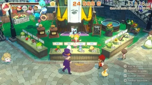 Story of Seasons Grand Bazaar Switch 2 - vue 4