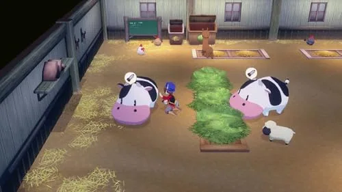 Story of Seasons Grand Bazaar Switch 2 - vue 7