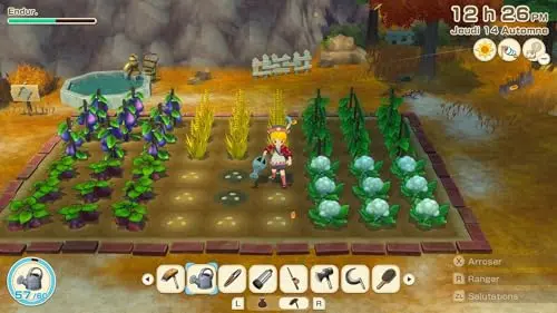 Story of Seasons Grand Bazaar Switch - vue 7