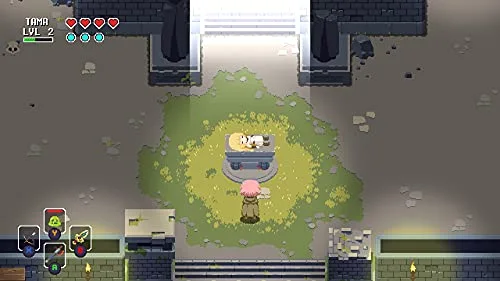 Sword of the Necromancer Collection Standard Switch - vue 5