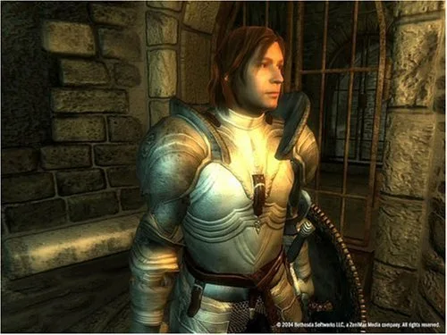 The Elder Scrolls IV: Oblivion Game of the Year Edition PC - vue 5