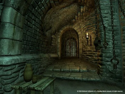 The Elder Scrolls IV: Oblivion Game of the Year Edition PC - vue 7