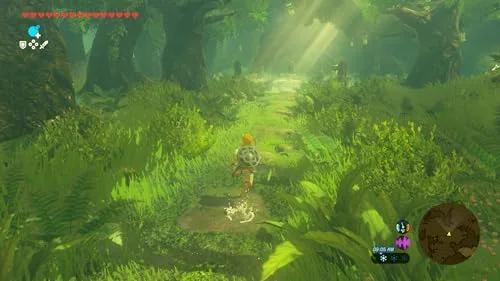 The Legend of Zelda: Breath of the Wild - Nintendo Switch 2 Edition • Jeu Nintendo Switch 2 - vue 3