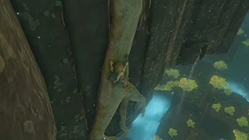 The Legend of Zelda : Tears of the Kingdom - vue 5