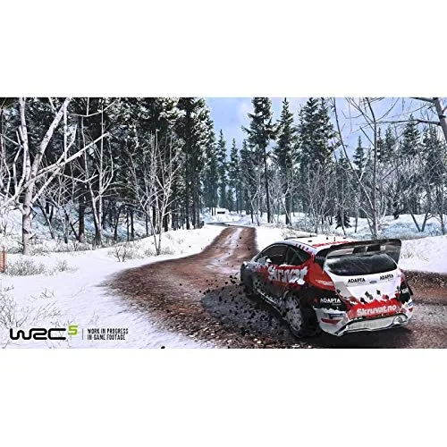 WRC 5 PC - vue 6