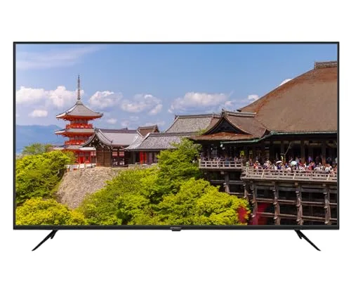 JAPANNEXT JN-IPS65U 65" 4K IPS HDR - vue 2