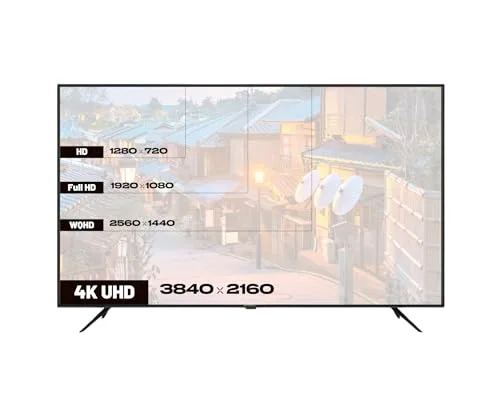 JAPANNEXT JN-IPS65U 65" 4K IPS HDR - vue 5