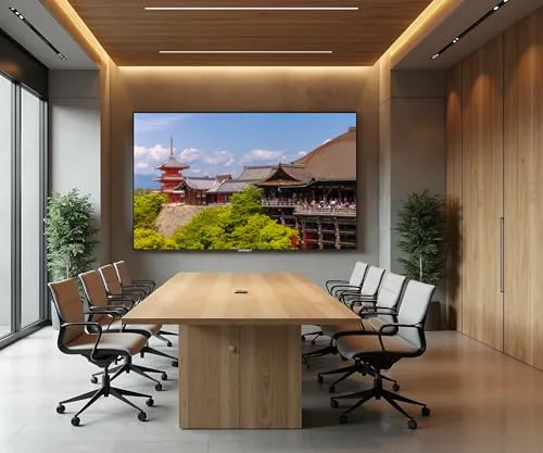 JAPANNEXT JN-IPS65U 65" 4K IPS HDR - vue 6
