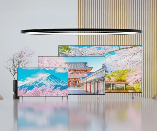 JAPANNEXT JN-IPS7500UHDR-U 75" 4K IPS HDR - vue 8