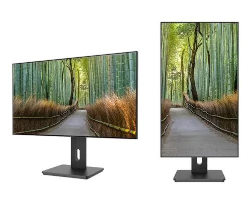 JAPANNEXT JN-27IPS4FLWQHDR-HSP 27" IPS WQHD - vue 2