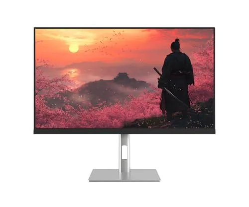 JAPANNEXT JN-IPS27G300Q-HSP 27 pouces - vue 2