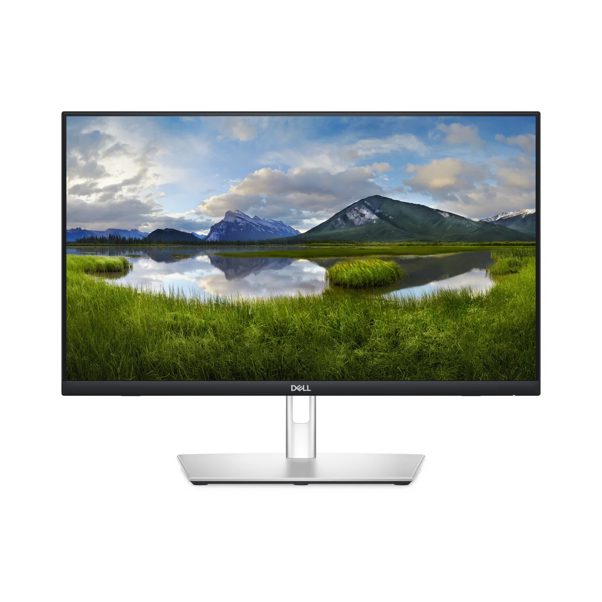 Écran PC Dell P2424HT 24" tactile IPS Full HD