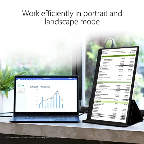 Ecran PC Portable - ASUS ZenScreen - 15.6 - FHD - 60Hz - IPS - 5ms - USB Type-C - MB166C - vue 4