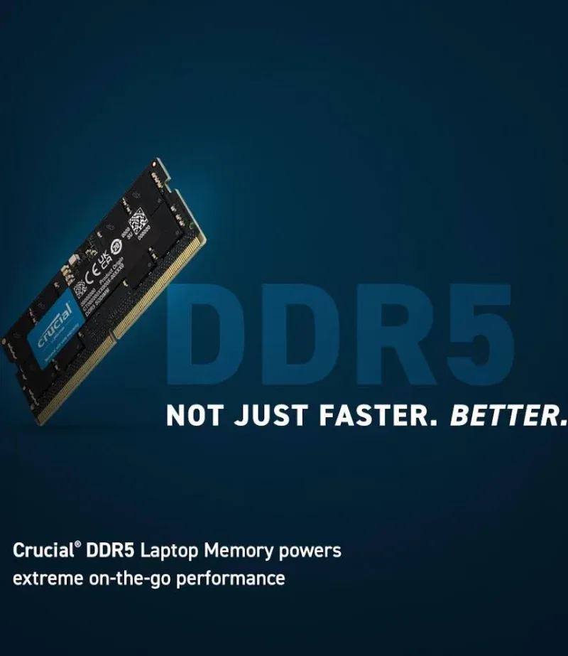 Crucial 24 Go DDR5 5600 MHz - vue 2