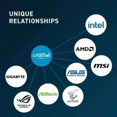 Crucial 32 Go DDR5 5600 MHz - vue 4