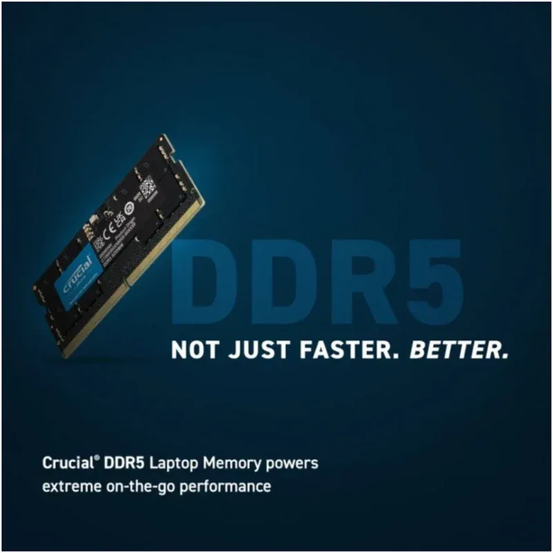 Crucial 64 Go Kit 2x32Go DDR5 5600 MHz - vue 2