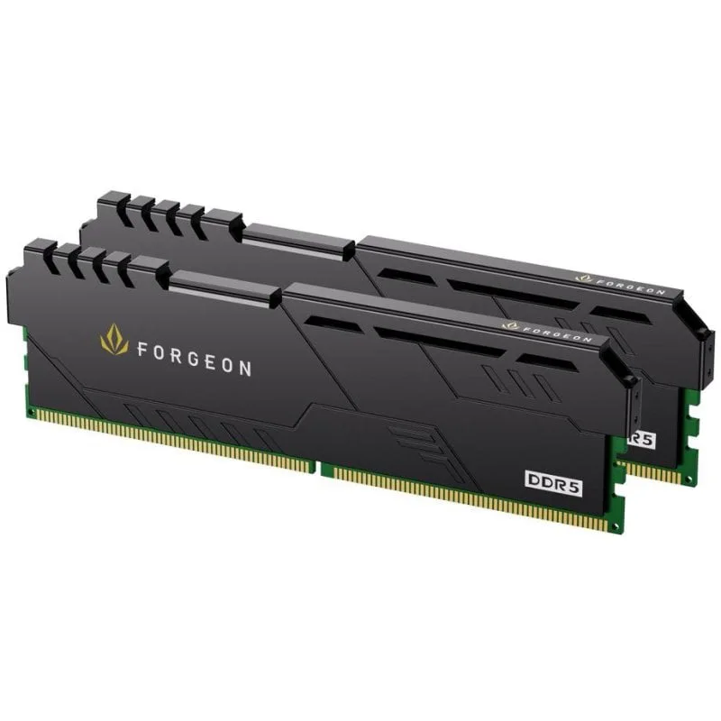 Forgeon Cyclone PRO 32 Go Kit 2x16Go DDR5 6000 MHz