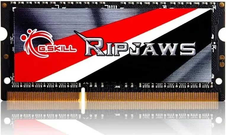 G.Skill Ripjaws 4 Go DDR3 1600 MHz