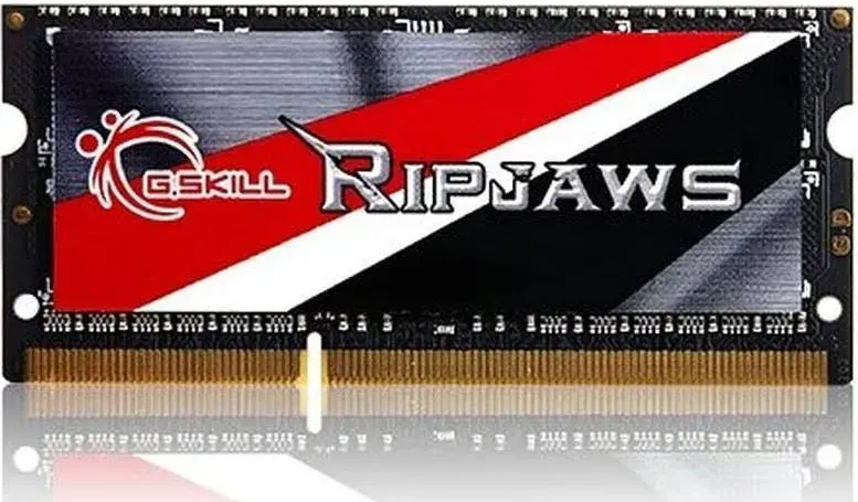 G.Skill Ripjaws 8 Go DDR3 1600 MHz