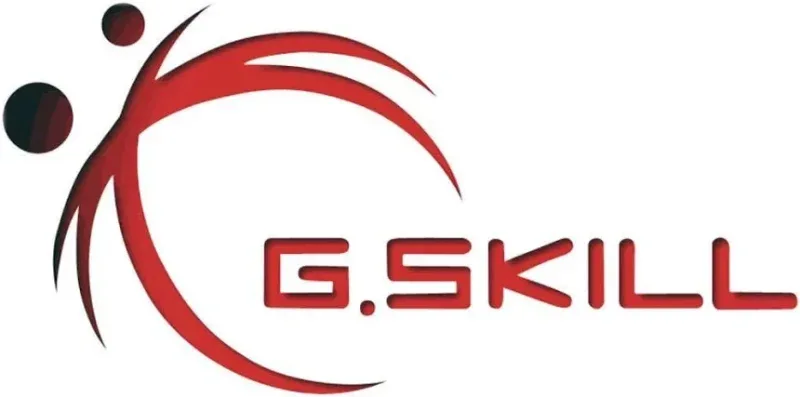 G.Skill Value 64 Go Kit 2x32Go DDR4 2666 MHz - vue 3