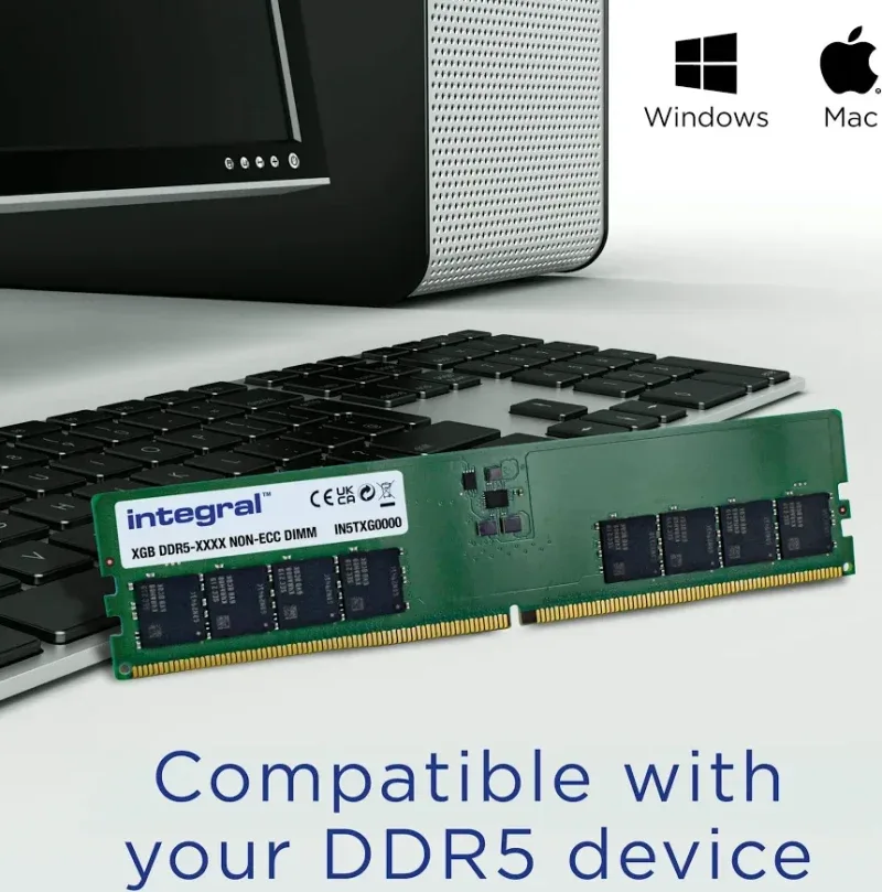 Integral IN5T8GNJWDX 8 Go DDR5 5600 MHz - vue 3